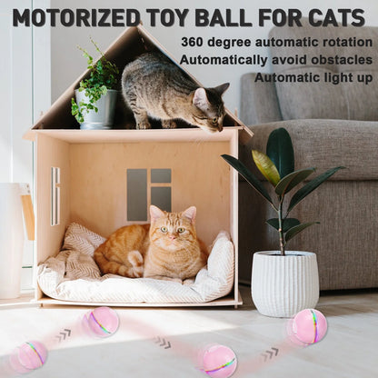 All Cat Toys